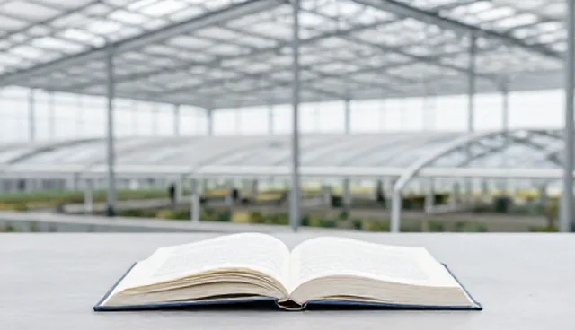 实际环节中的运维建议检查要点解析